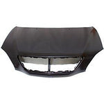 2007-2009 Lexus RX350 Hood; NOZZLE-[FOR RX350 JAPAN BUILT USE 85381-0E020; FOR USA BUILT USE 85381-0E010]; LX1230104; 533010E020