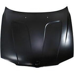 2007-2010 BMW X3 Hood; BM1230121; 41003449411 