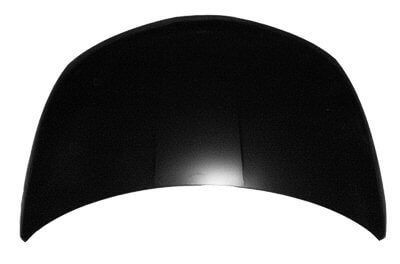 2007 Nissan Murano Hood_NI1230175