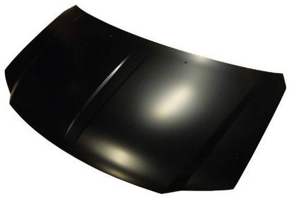 2008-2010 Dodge Caravan Hood - CH1230266