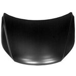 2009-2017 Volkswagen Tiguan Hood - VW1230141