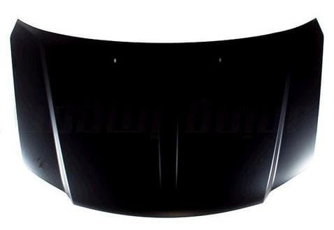 2011-2019 Dodge Caravan Hood (Steel) - CH1230289