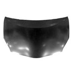 2013 Toyota Prius Hood Painted_5330147060_TO1230216