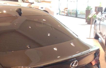 2014+ IS SERIES LIP-MOUNT NO-LIGHT CUSTOM (SMALL) WT-14013