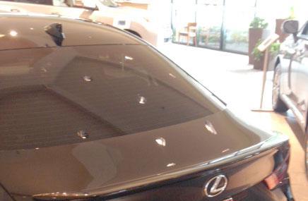 2014+ IS SERIES LIP-MOUNT NO-LIGHT CUSTOM (SMALL) WT-14013