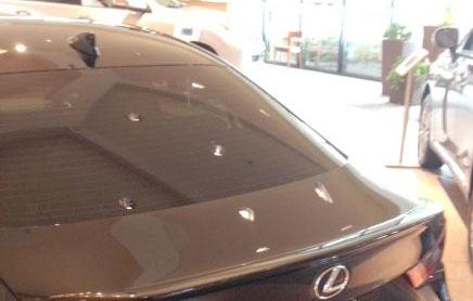 2014+ IS SERIES LIP-MOUNT NO-LIGHT CUSTOM (SMALL) WT-14013