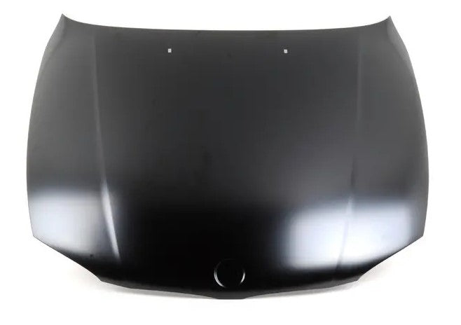 2014 BMW X5 Hood Painted