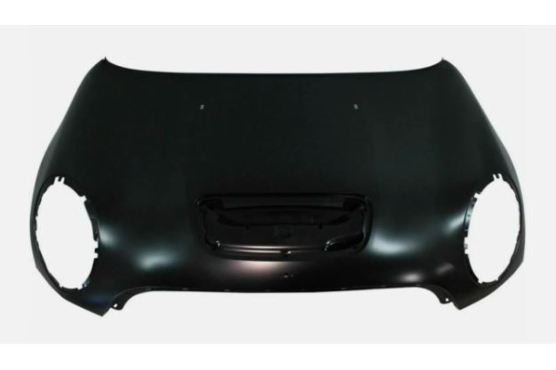 2013 Mini Cooper Hood Painted 41617318365