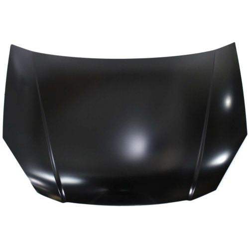 2007 Kia Rio Hood Painted