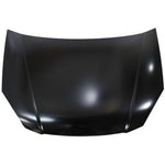 2011 Kia Rio Hood Painted