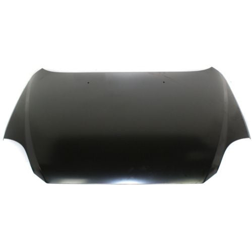 2004 Kia Rio Hood Painted