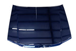 2008 Chevrolet Colorado Hood Painted All Terrain Blue (WA406P) 88944095 GM1230319