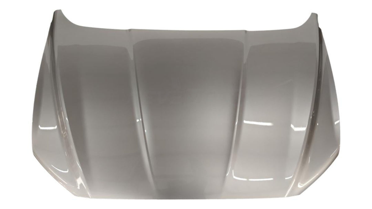 2013-2020 Ford Fusion Hood Painted Ingot Silver Metallic (UX) DS7Z16612B FO1230301