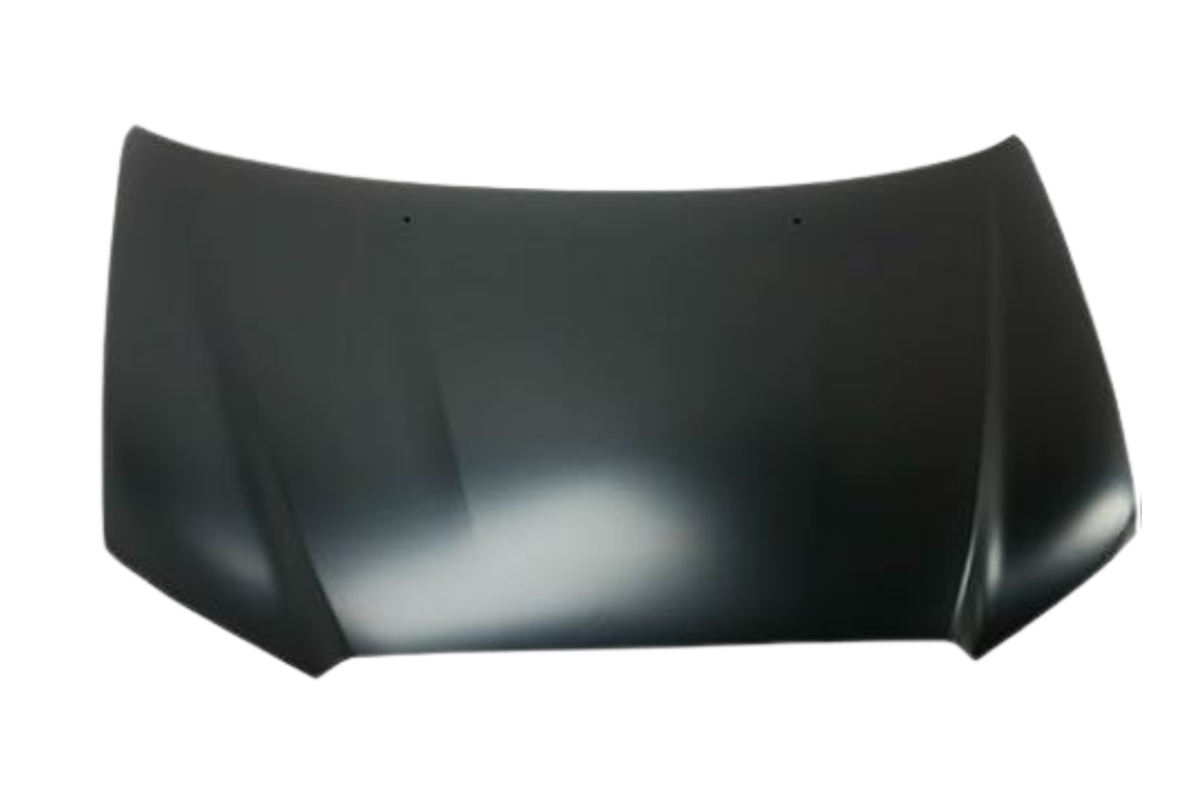 2019 Mitsubishi Outlander Hood Painted 5900A739