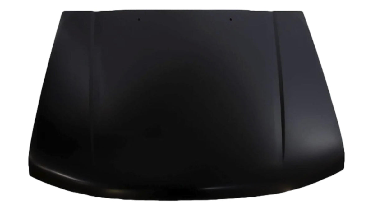 2009-2014 Nissan Murano Hood Painted FEA0M1AAMA NI1230177