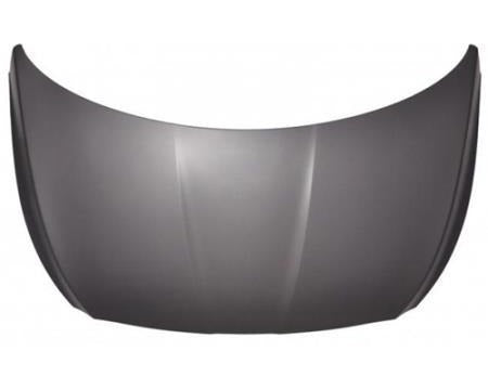 Kia K900 Hood664003T000