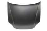 2000 Honda Civic Hood Painted 60100S01A01ZZ HO1230131