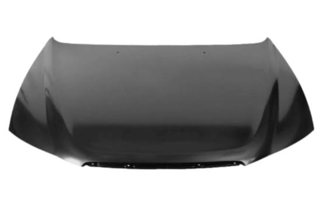 2008 Hyundai Sonata Hood Painted 664003K010