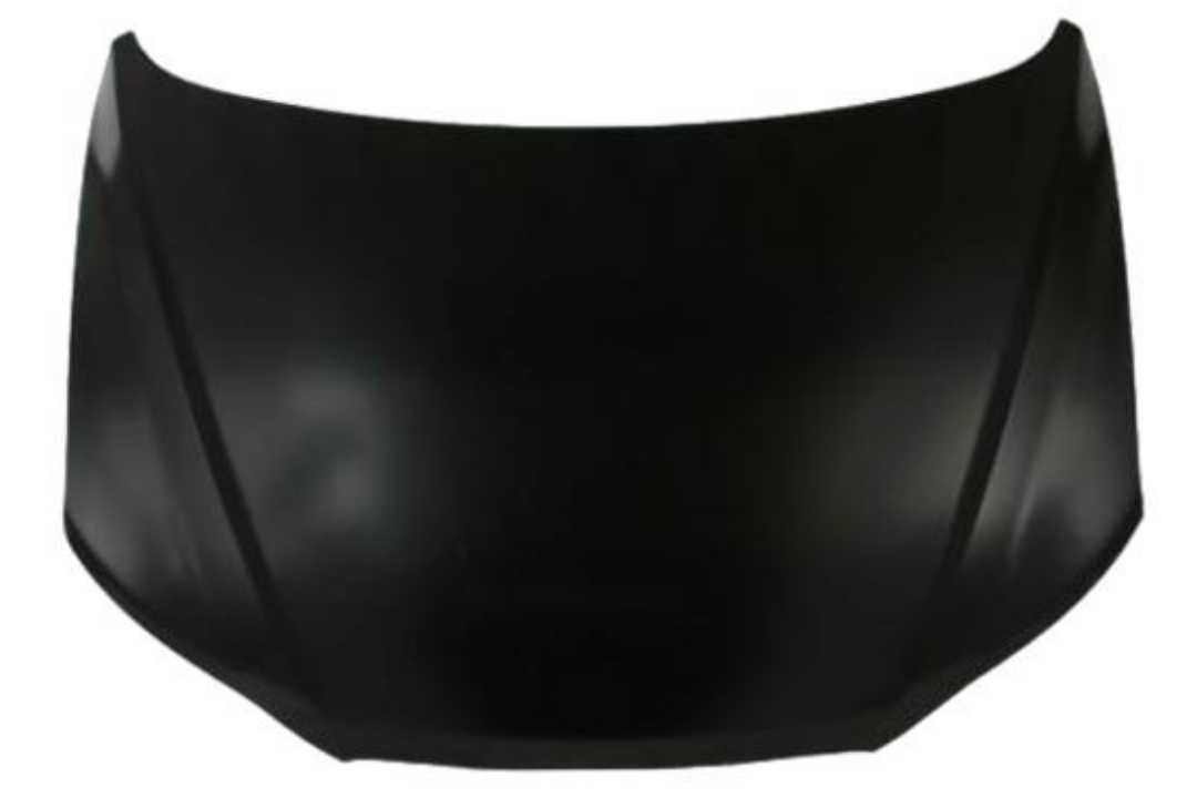 2010 Hyundai Santa Fe Hood Painted 664000W000