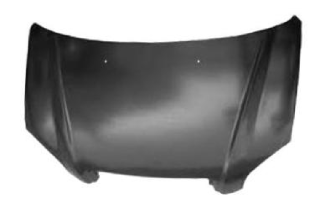 2008 Hyundai Tucson Hood Painted 664002E020